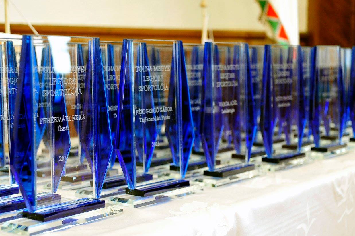 Világbajnok sportolókat is köszöntöttek