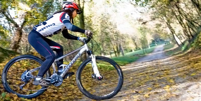 Hatszáz kilométernyi biciklis útvonal a Pilisi Parkerdőben