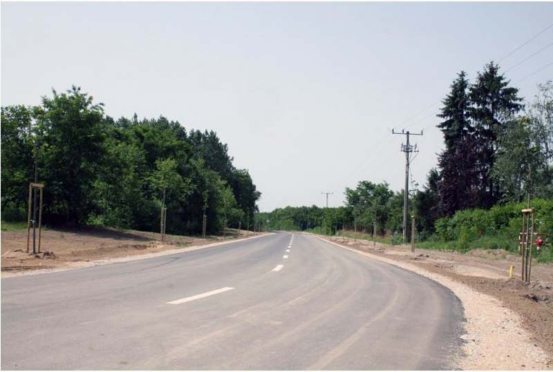 Felavatták a Fürdő utat Cegléden