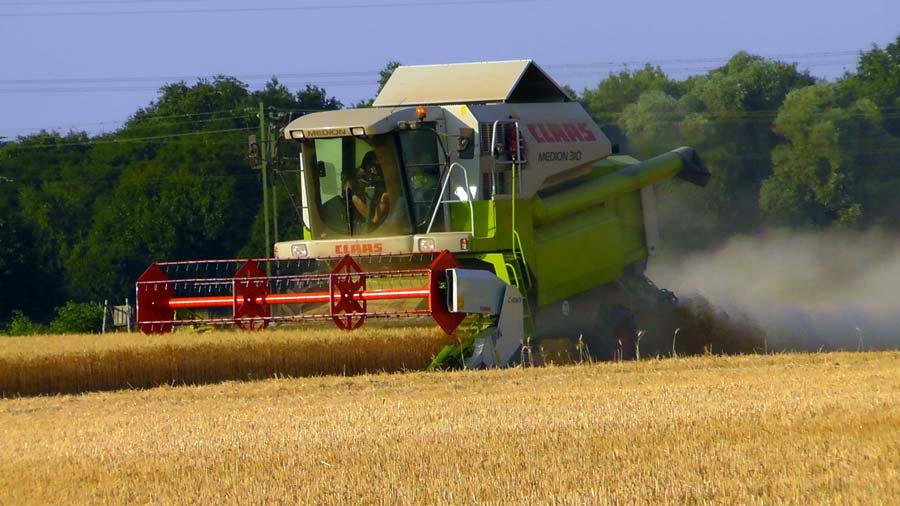 FM: megkezdődött az aratás, jó közepes termés várható