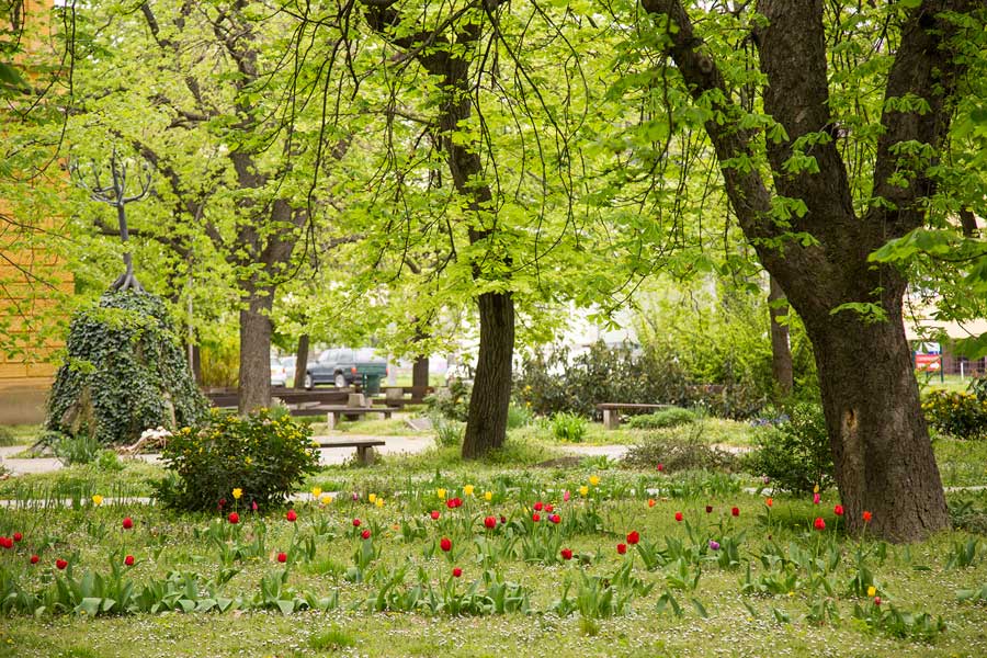 Közel 300 település jelentkezett az idei Virágos Magyarországért versenyre