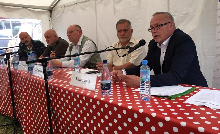 Kakas Béla Tusványoson: A túlélés záloga a közös gazdaságfejlesztés
