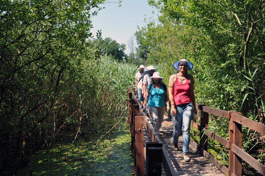 Huszonöt milliárddal támogatja a kormány az Ős-Dráva programot