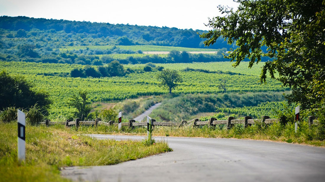 A vidék helyzetéről és  lehetőségeiről  tart konferenciát a MÖOSZ