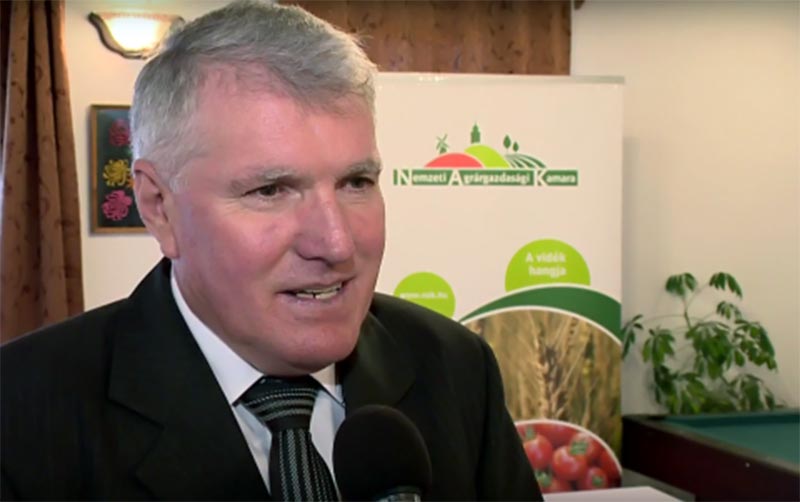 Elfogadták a Szabolcs megyei agárkamara jogszabály módosítását