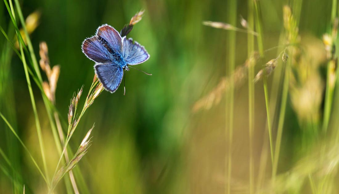 Natura 2000 fogadó- és látogatóközpont épül Őriszentpéteren