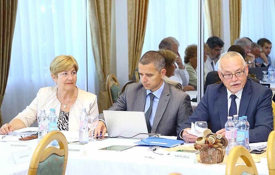 Átnevezhetik Csongrád megyét