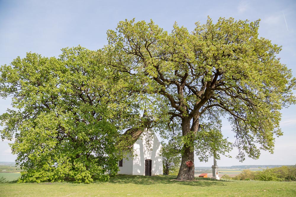 Klímariadó Tolna Megyében: Paksra, Szekszárdra, Bogyiszlóra és Nagymányokra érkezik a rendezvény
