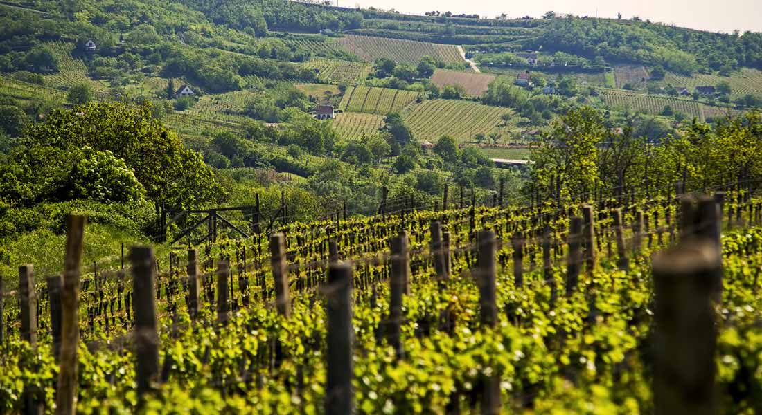 A Tolna megyeiek szerint egyre súlyosabb gondokat okoz a klímaváltozás