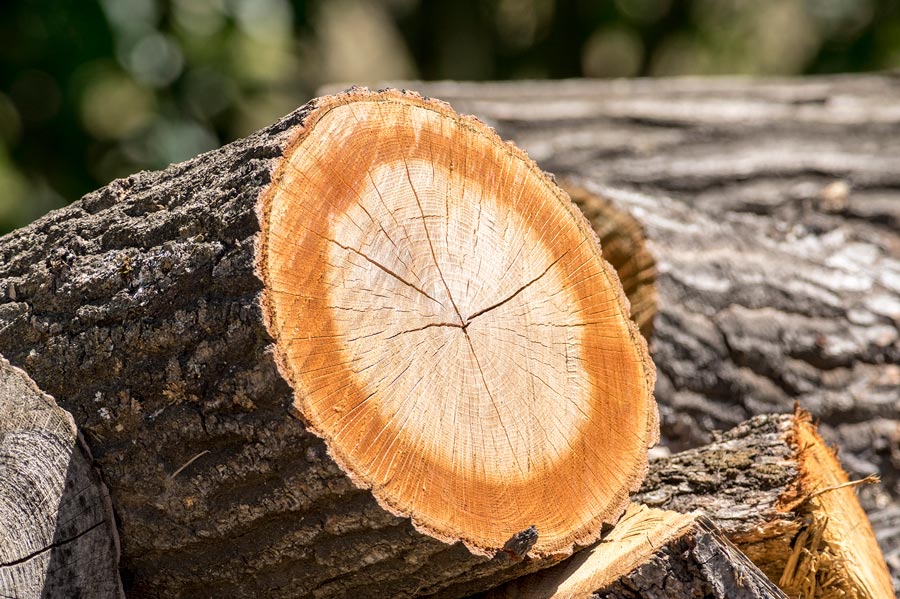 BM: több mint kétezer önkormányzat nyert a tüzelőanyag-pályázaton