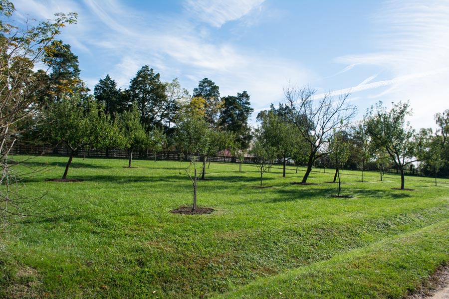 FM: sikeres volt a zártkertek infrastruktúra-fejlesztésére kiírt pályázat