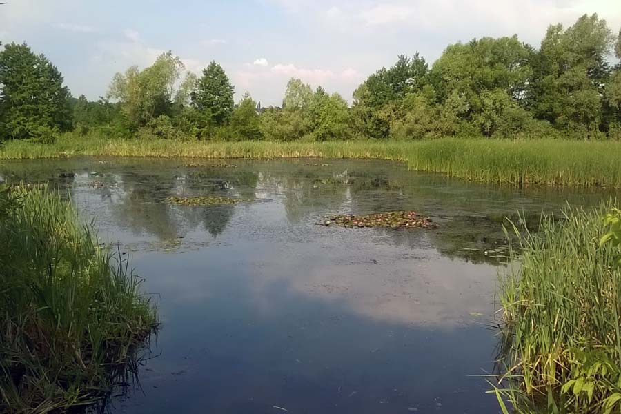 Nem okozhatnak gondot a jövőben a felhőszakadások, áradások Bonyhádon