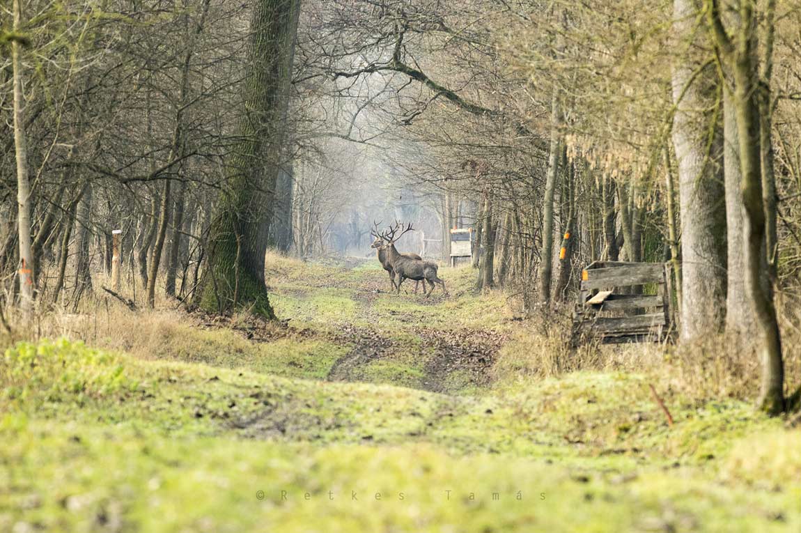A klímavédelem ügyét szolgálta a 30 milliós Tolna megyei projekt