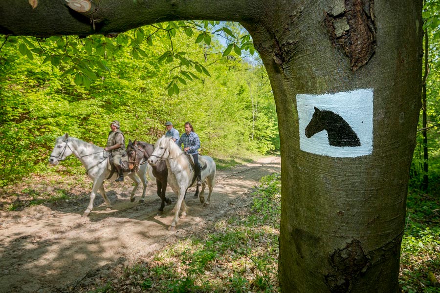 Lovastúra-útvonalak nyíltak a Pilisben