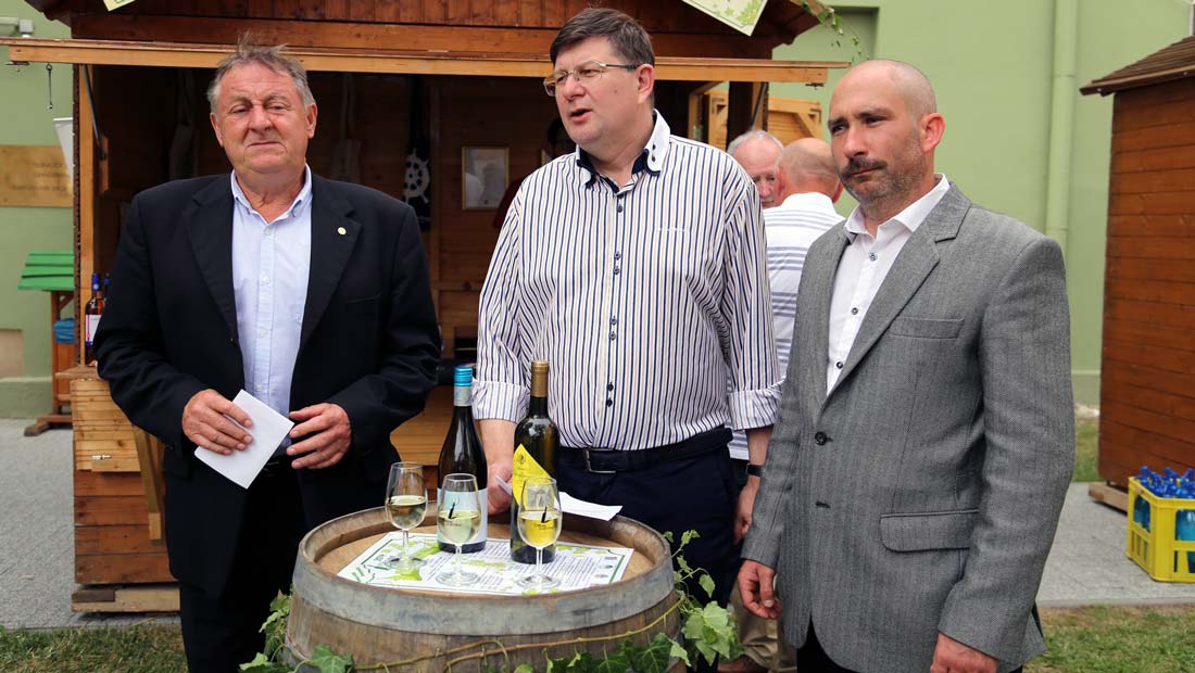 Ismét Chardonnay lett Somogy Bora