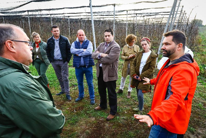 Erdélyiek tanulmányozták a gyümölcstermesztést