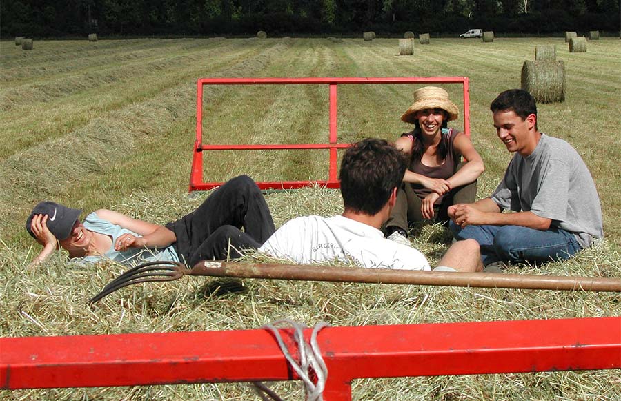 Programcsomag indul fiataloknak a vidéki élet ösztönzésére