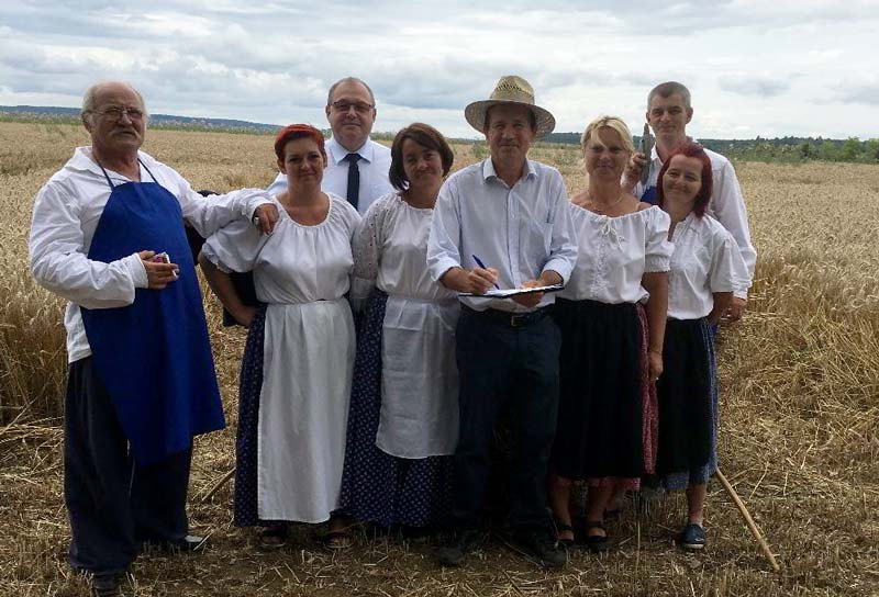 Dombérozó – aratóverseny Nován