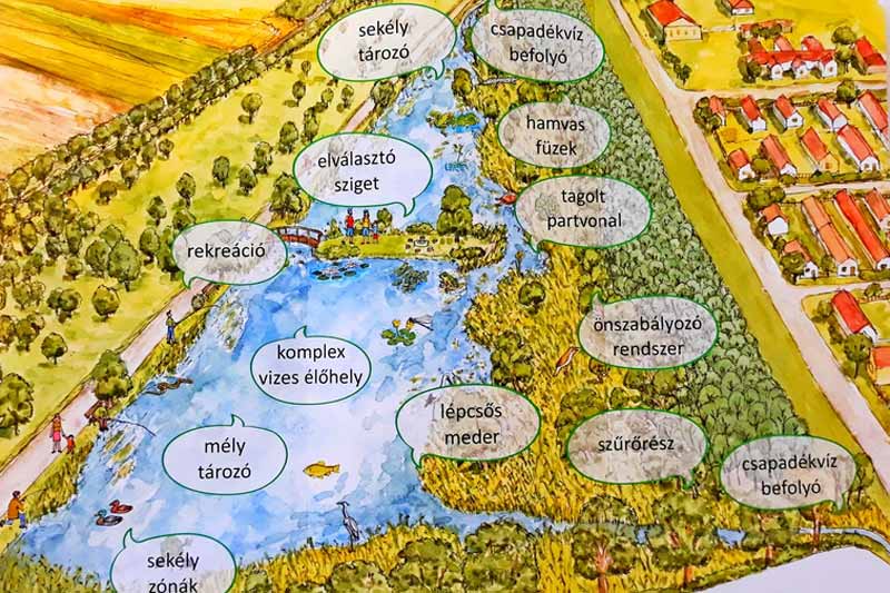 Ősszel kezdődhet a kivitelezés a bátyai vízmegtartó mintaprojektben