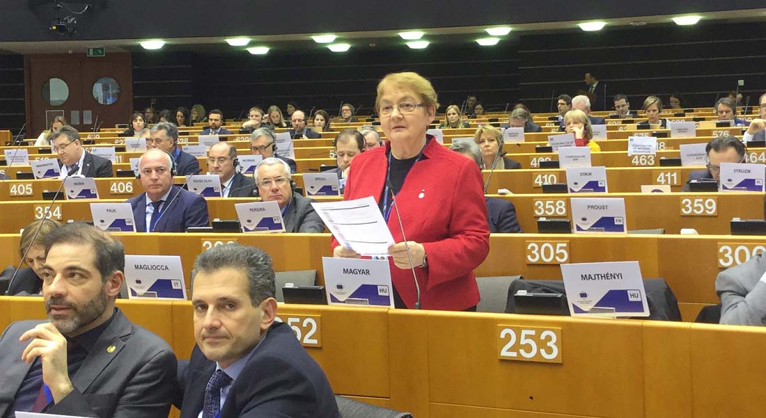 Erősödő regionális érdekérvényesítés Brüsszelben – Magyar Annát alelnökké választották