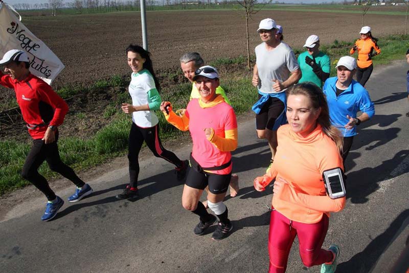 Megye Futás hetedszer