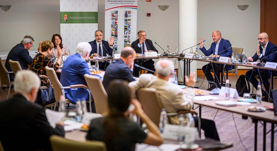 Csúcshódítás előtt a hajdúnánási szalmafeldolgozás