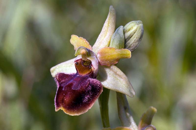Tolna Megyei Kultúr-kóstolgató: pókbangó