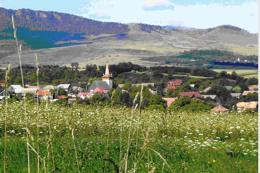 Dinamikus gazdaság, sok befektető