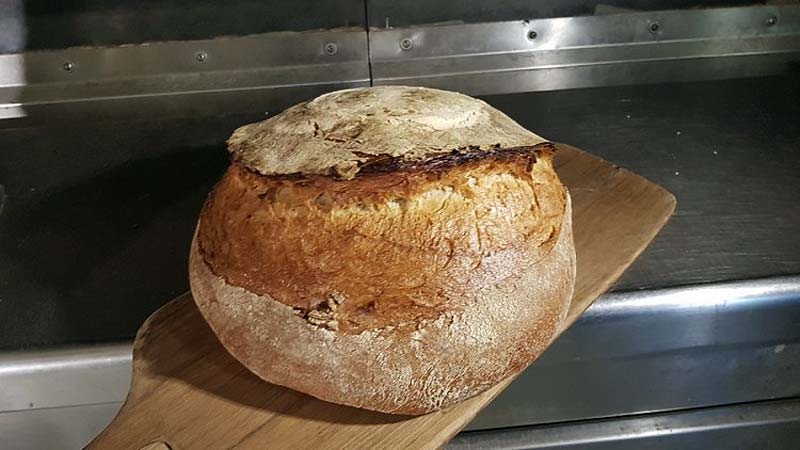 Kisült Bács-Kiskun kenyere