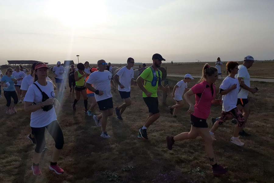 Üzenet: „Gyógyulás”