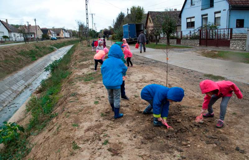 Három ütemben rendezik a csapadékvíz problémát Kakasdon