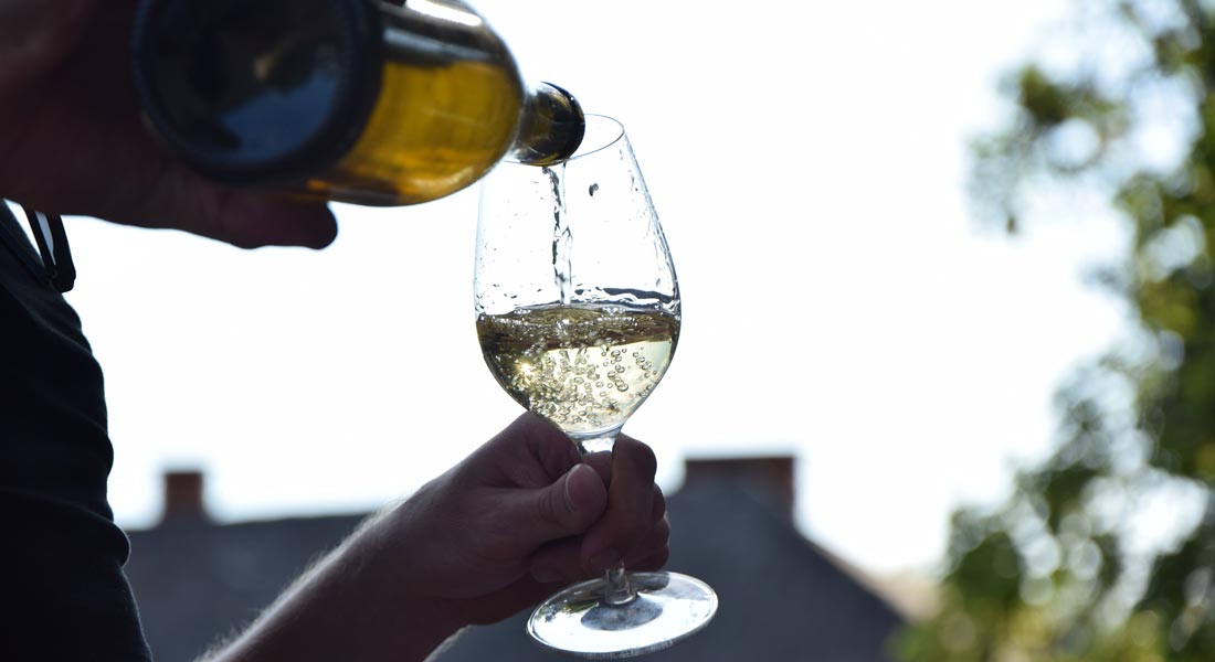 Rajnai rizling nyert a Somogy Bora borversenyen