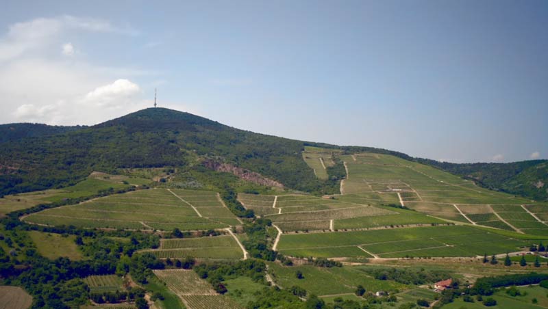 Nézze meg Ön is a megyei értéktárfilmet!