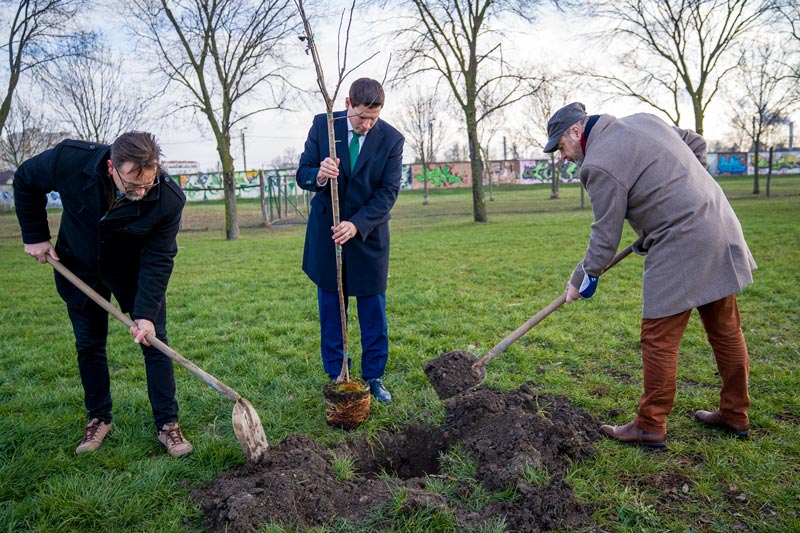 Székesfehérváron is elültették a nemzeti összetartozást szimbolizáló almafákat
