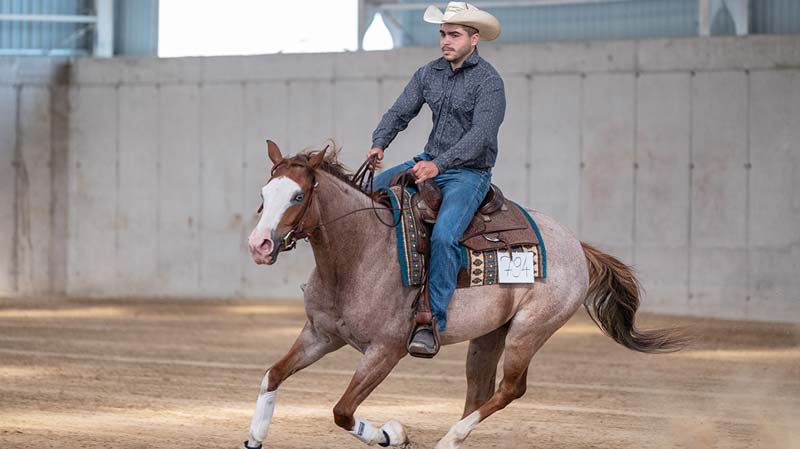 Félegyházi cowboyok