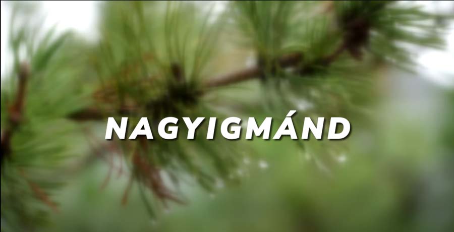Vármegyejáró: Nagyigmánd