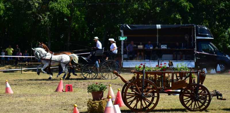 Tizennegyedik alkalom, harminchét fogat