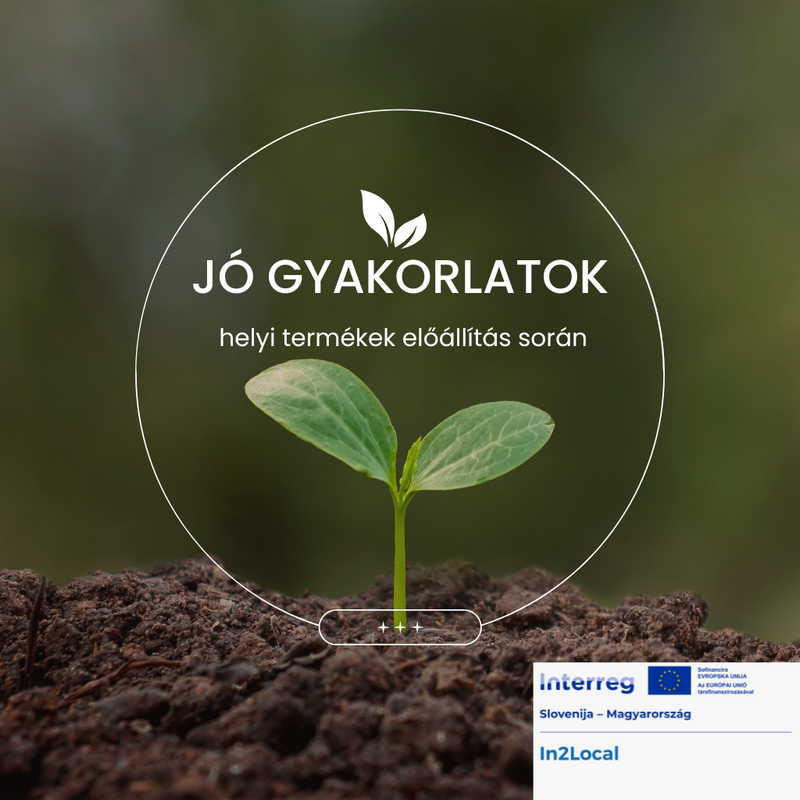 Új kiadvány készült az Inn2Local projektben