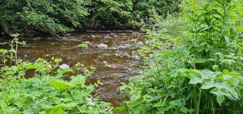 Pályázati felhívás Pest Vármegye Környezetvédelméért Díjra