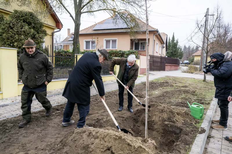 Faültetés Vácrátóton